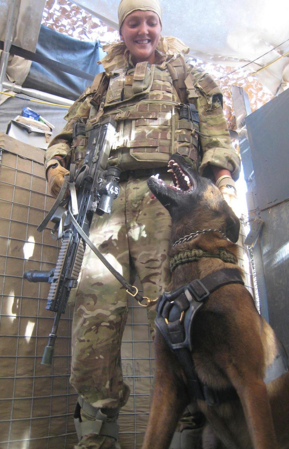 Perro en el ejército Perro en el ejército