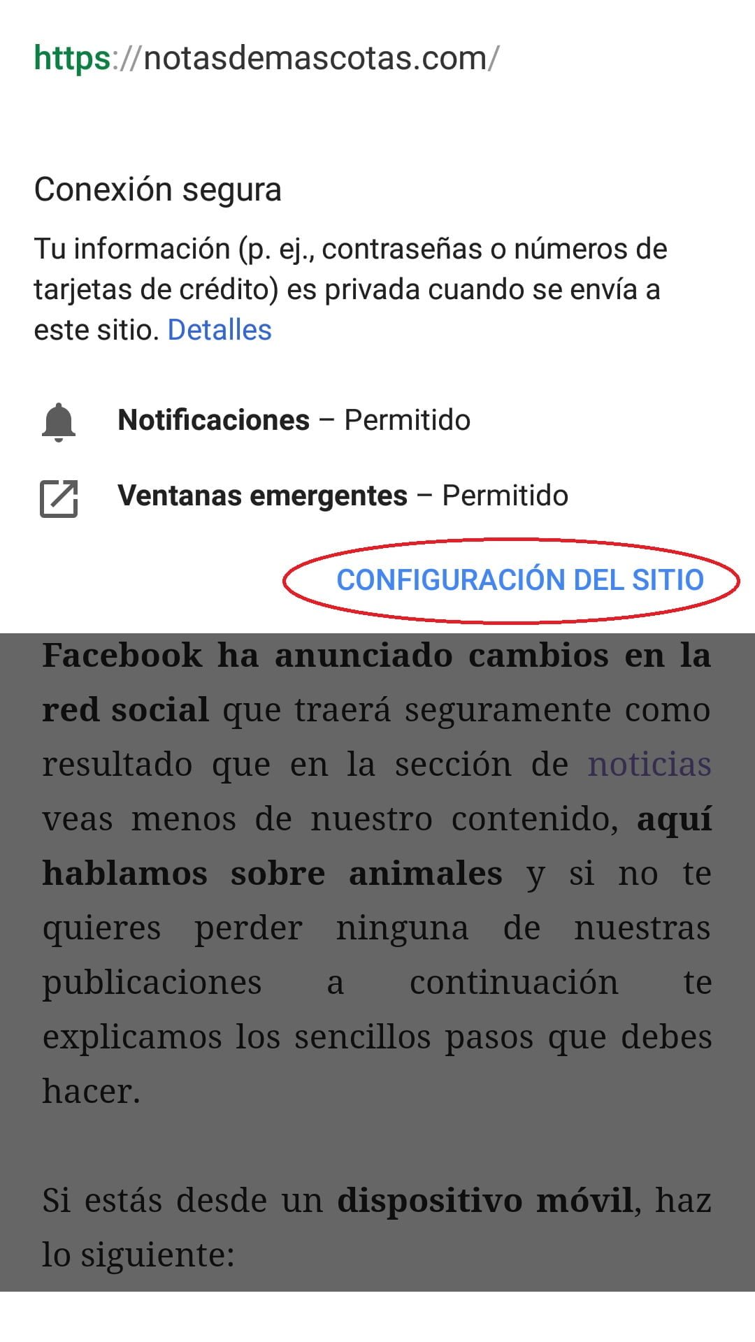 Activar notificaciones push Notas de Mascotas paso 2