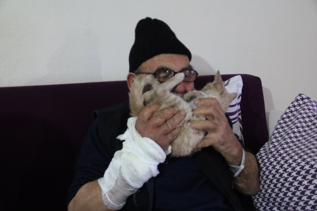 Ali Meşe Ali Meşe
