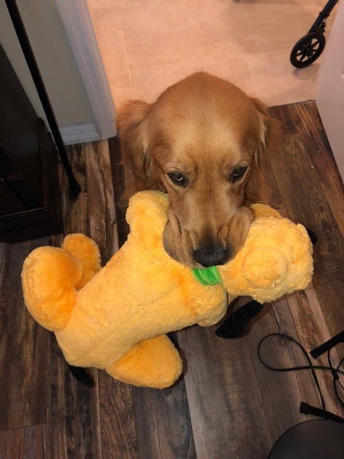 Atlas y su muñeco
