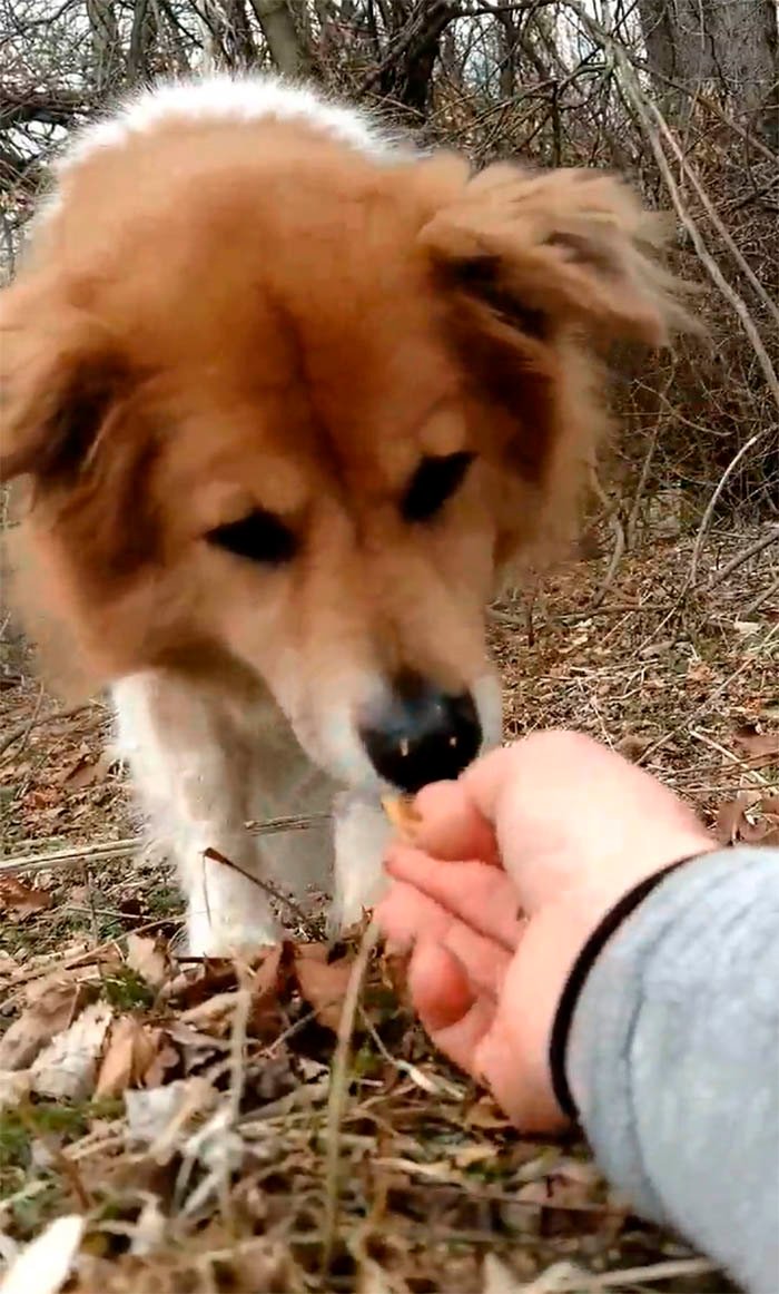 Carla come de la mano Carla come de la mano