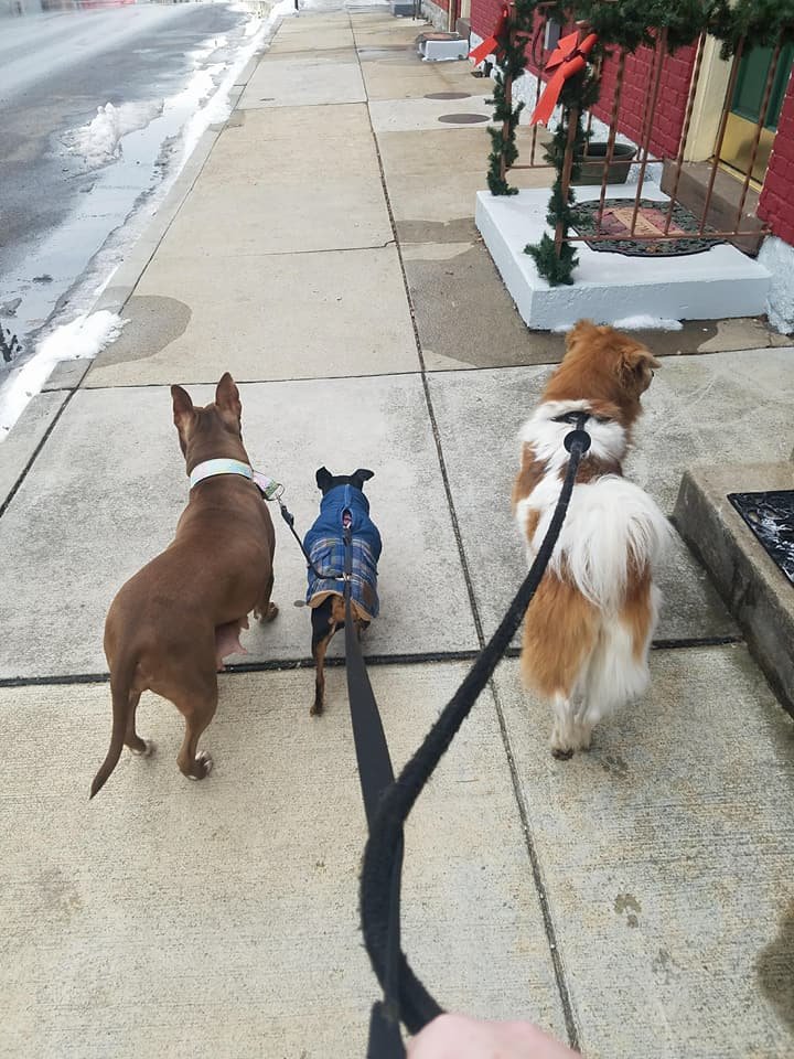 Carla de paseo Carla de paseo