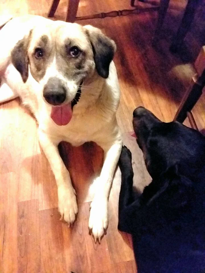 Cathleen con su nueva familia