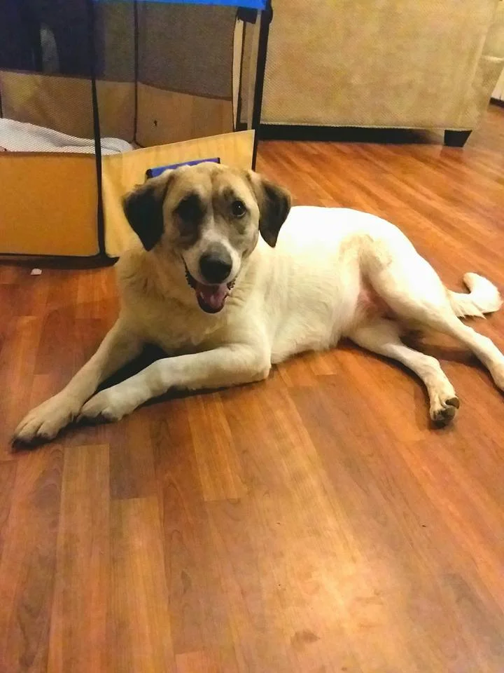 Cathleen en su nuevo hogar