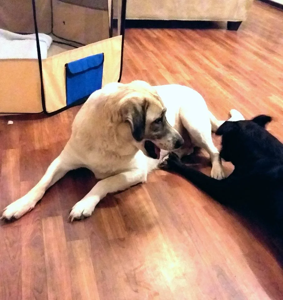 Cathleen y su nuevo hermano