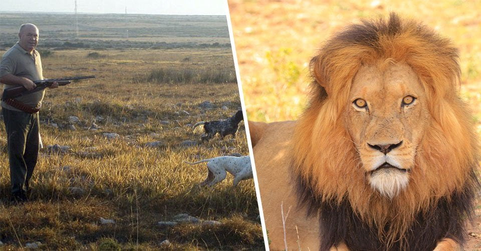 Cazador intentaba cazar a un león y fue asesinado