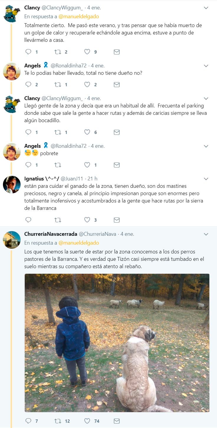 Comentarios de Twitter Comentarios de Twitter
