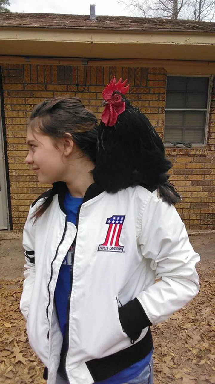 Frog y su mejor amiga