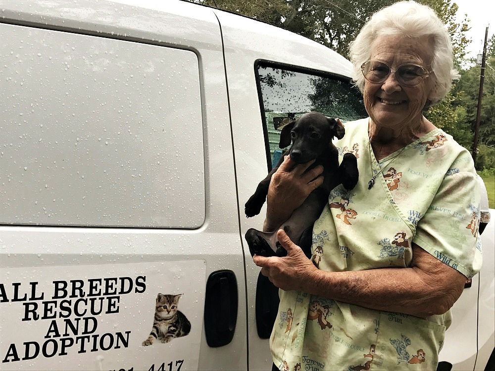 Mujer intentó salvar animales y fallece en incendio