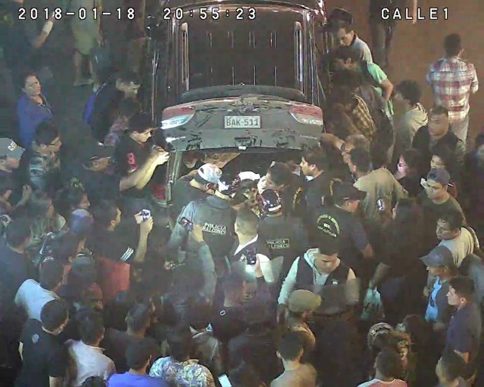 Perros muertos en camioneta