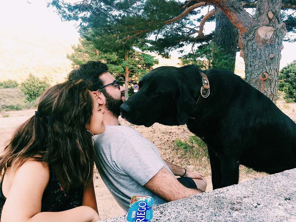 Un hombre se detiene para examinar a un perro "muerto" y se lleva una adorable sorpresa 2 Tizón en el camino