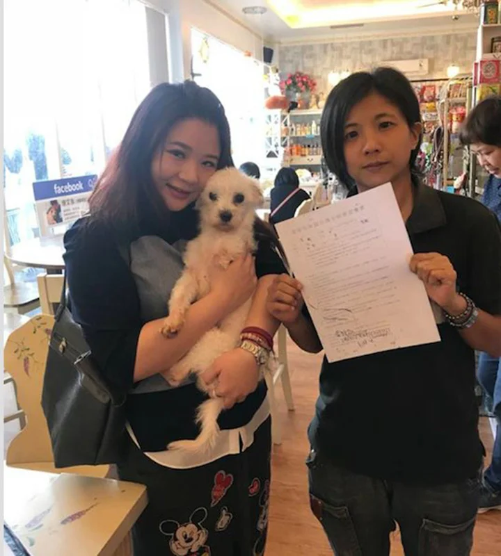 Adopción de perro Adopción de perro