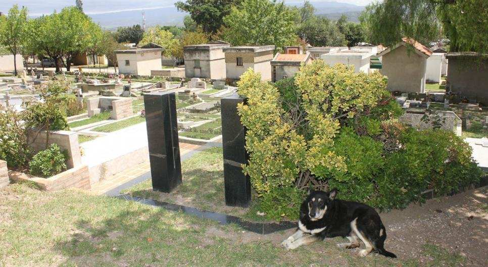 Capitan vivió 11 años en el cementerio