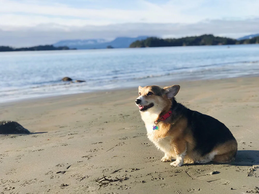Cora en la playa Cora en la playa