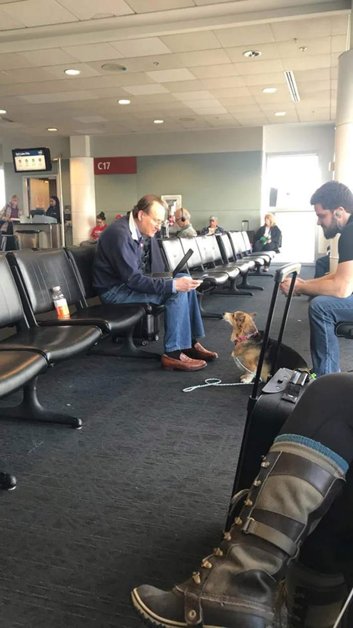 Corgi reconforta hombre en aeropuerto Corgi reconforta hombre en aeropuerto