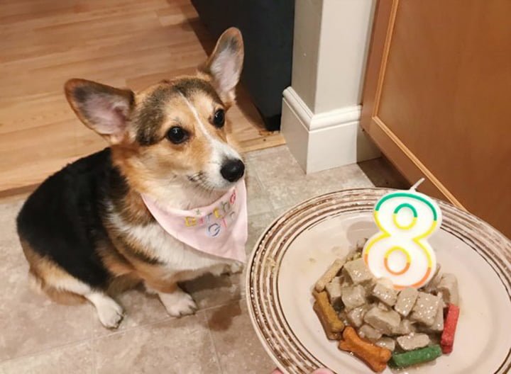 Cumpleaños de Cora Cumpleaños de Cora