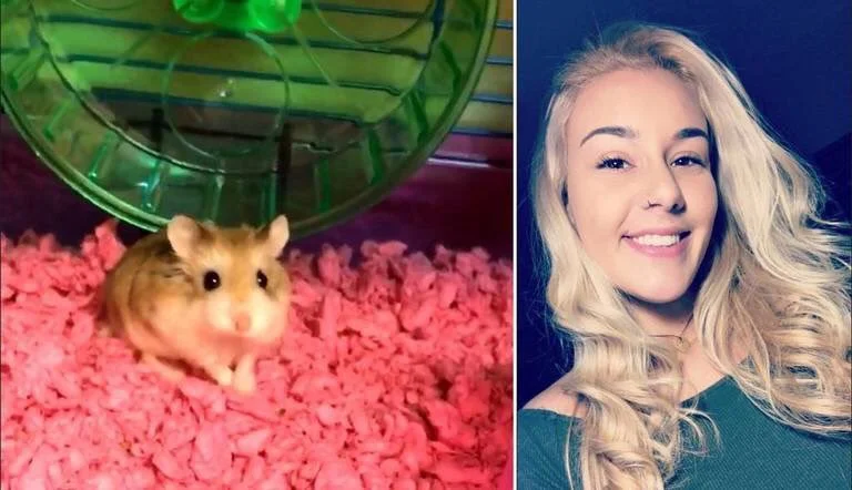 Mujer ahoga a su hamster en el inodoro del aeropuerto
