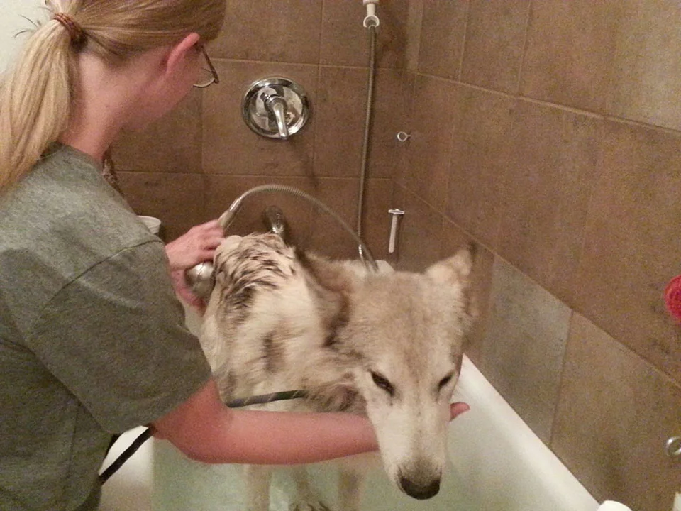 Primer baño Primer baño