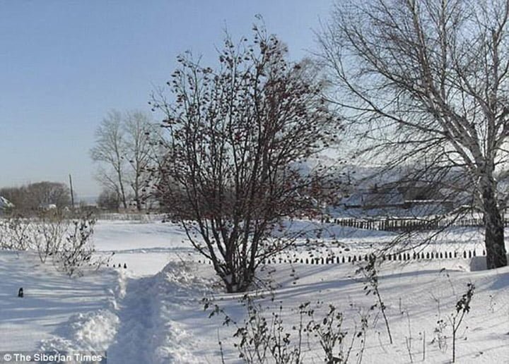Siberia