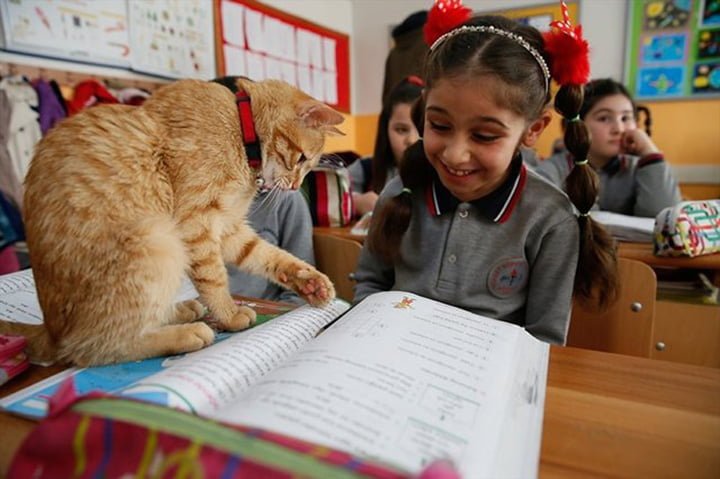 Tombi y una niña Tombi y una niña