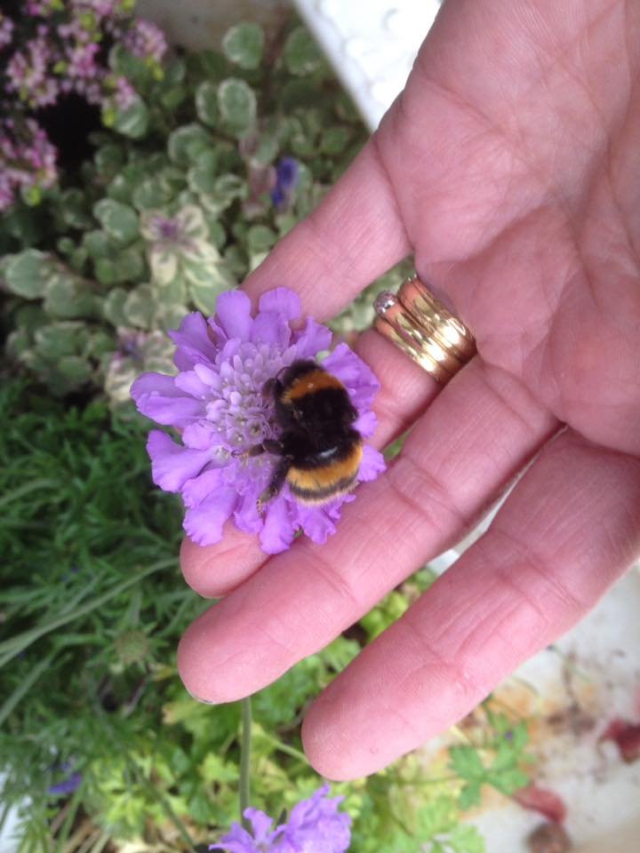 Bee fallece