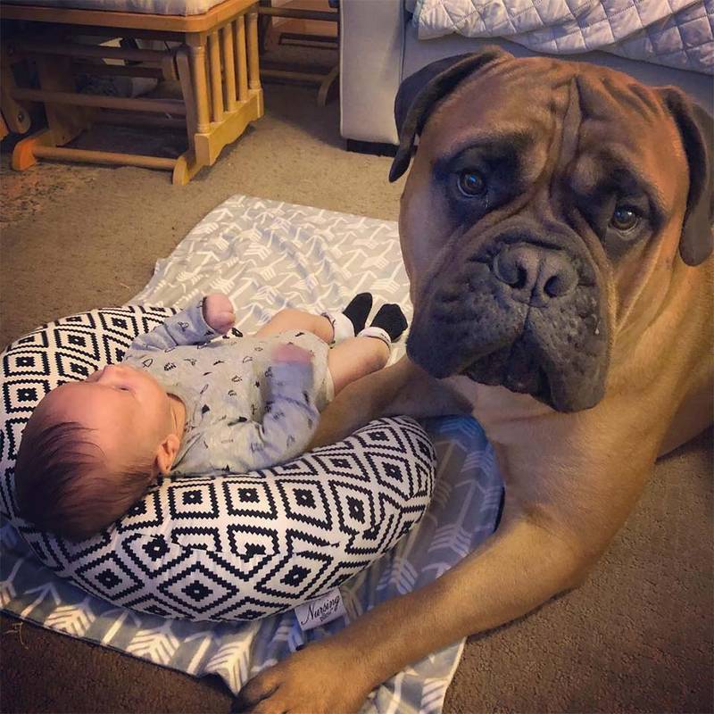 Brutus ama a Kayden