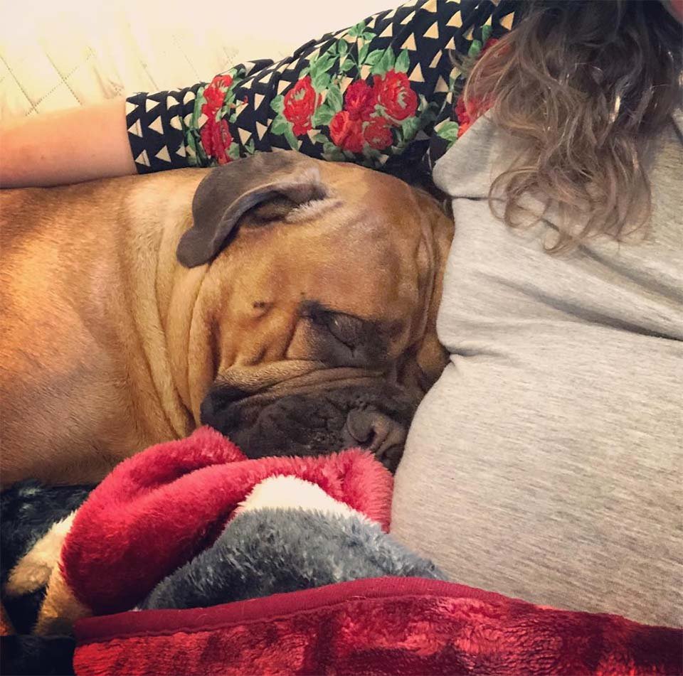 Brutus y Bonnie