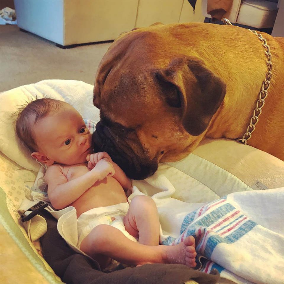 Brutus y el bebé