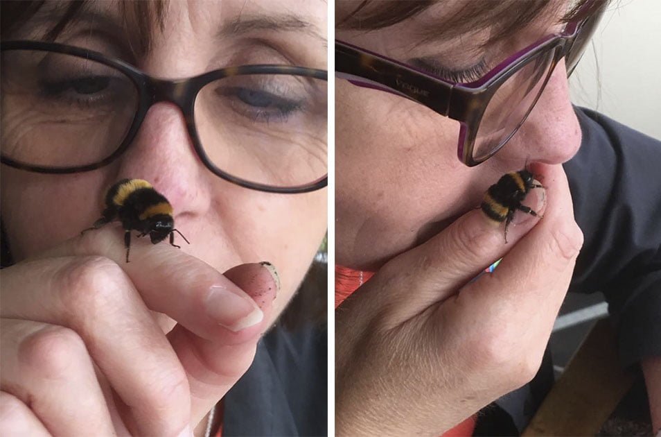 Fiona y Bee