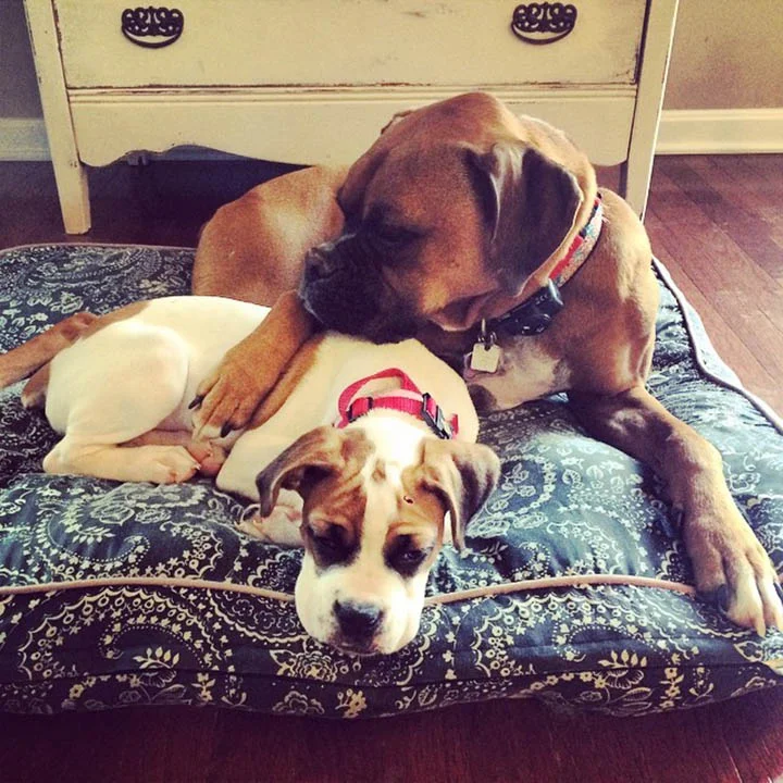 Lexi con su hermana Lexi con su hermana