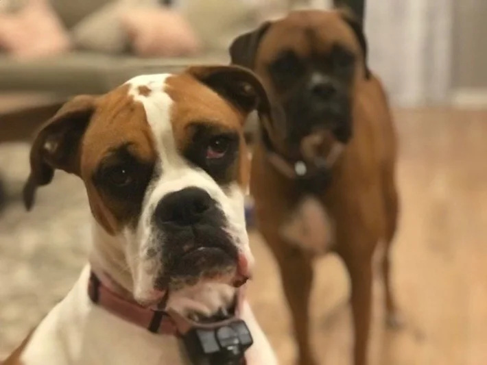 Lexi y su hermana Lexi y su hermana