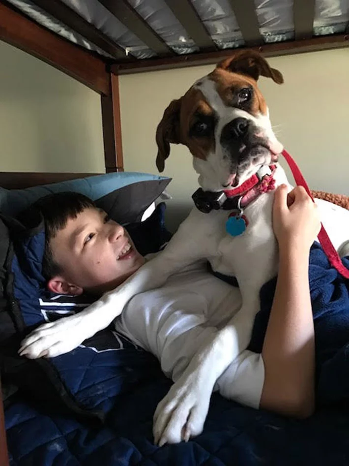 Lexi y su hermano humano Lexi y su hermano humano