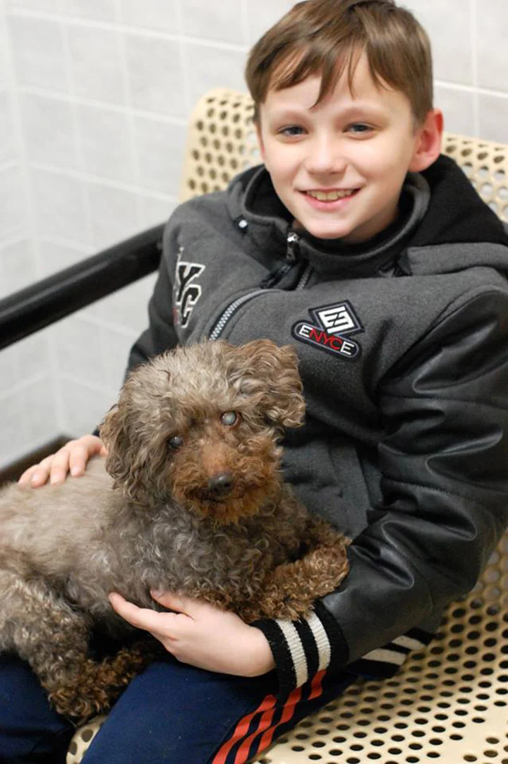 Niño y perro viejo