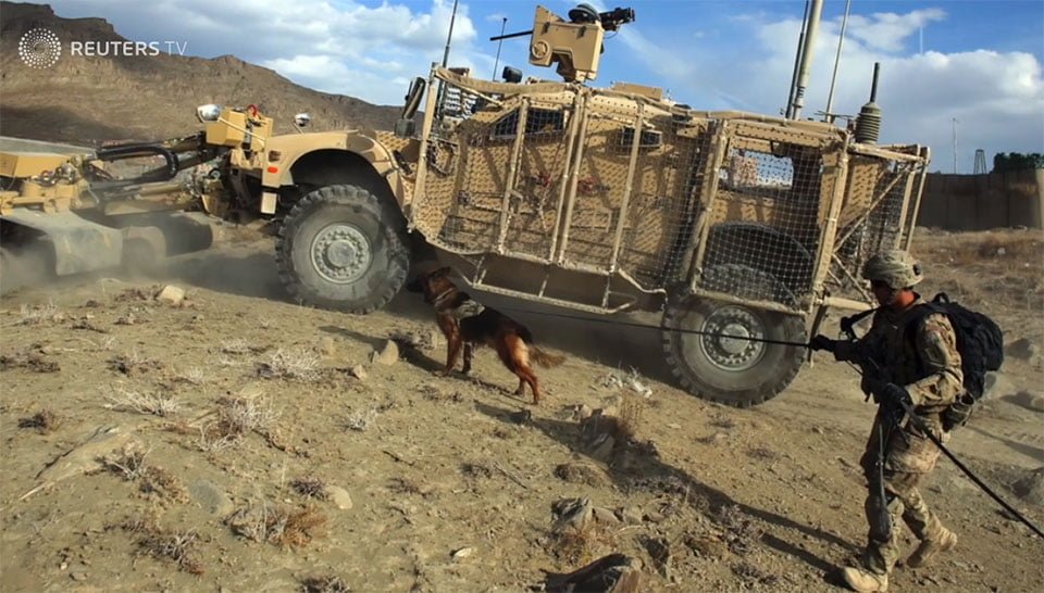 Perro detector de bombas Perro detector de bombas