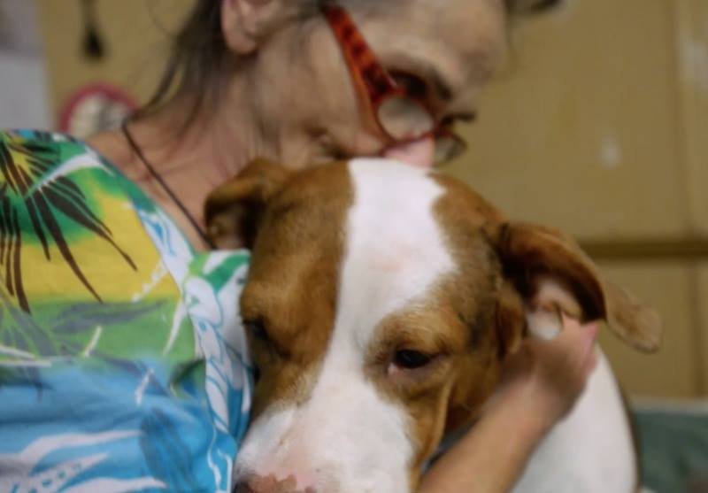 Perro y su madre humana
