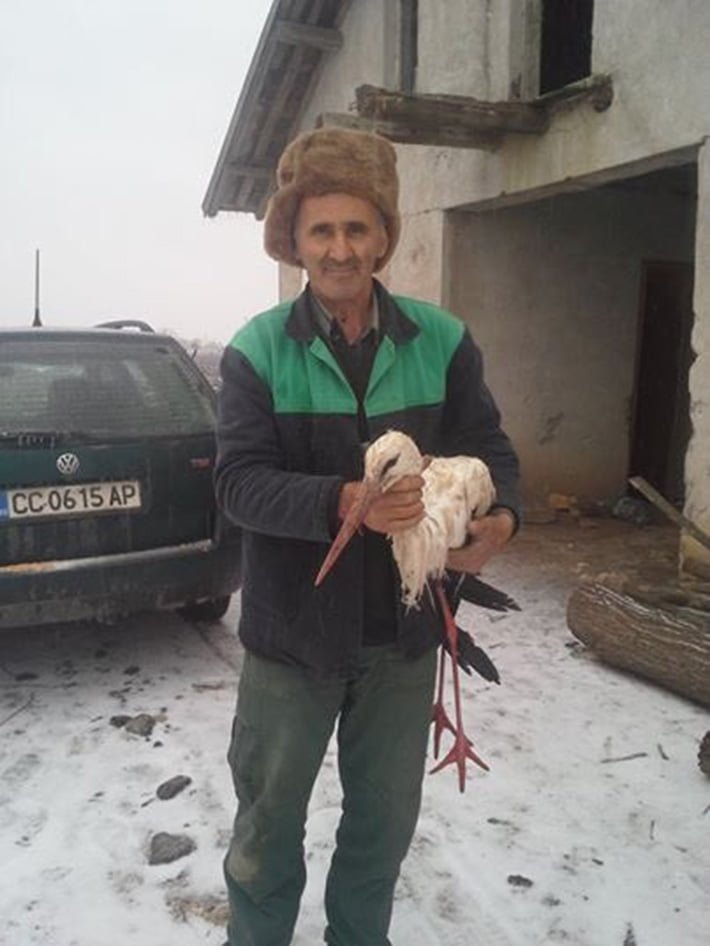 Señor salva cigüeña