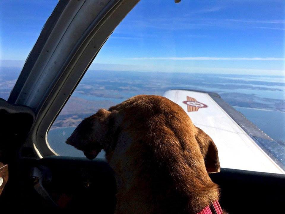 Ashlyn en avión