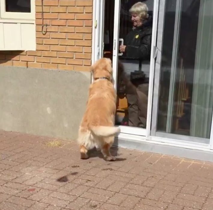 Cheddar visita a Jean
