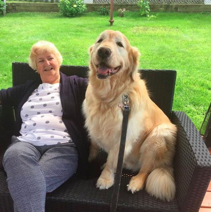 Cheddar visita a su vecino favorito