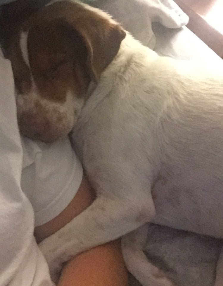 George durmiendo