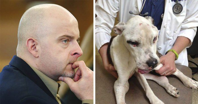 Hombre maltratÃ³ a un perro y es condenado a 10 aÃ±os de prisiÃ³n