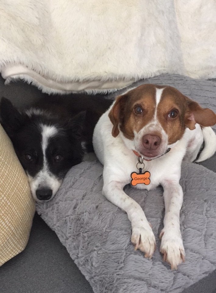 Jack y George