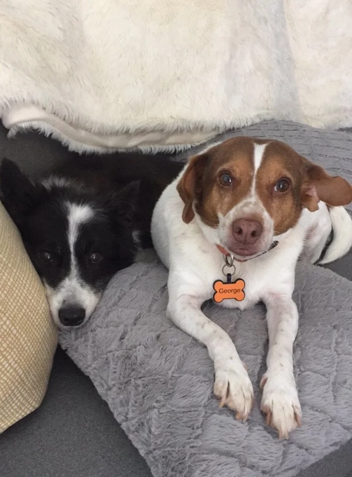 Jack y George