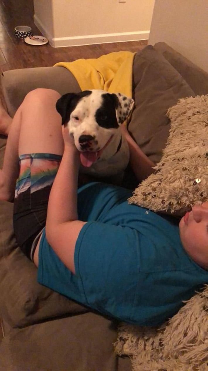 Perro sin hogar abraza a un viejo oso de peluche hasta que alguien lo rescata 2 Perro adoptado