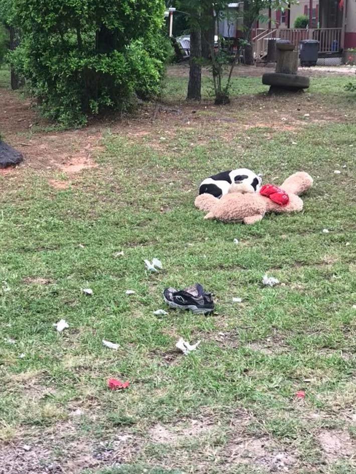 Perro sin hogar Perro sin hogar