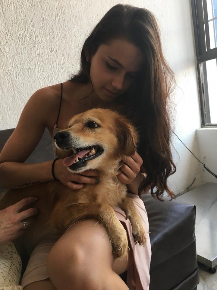 Rosie agradecida Rosie agradecida