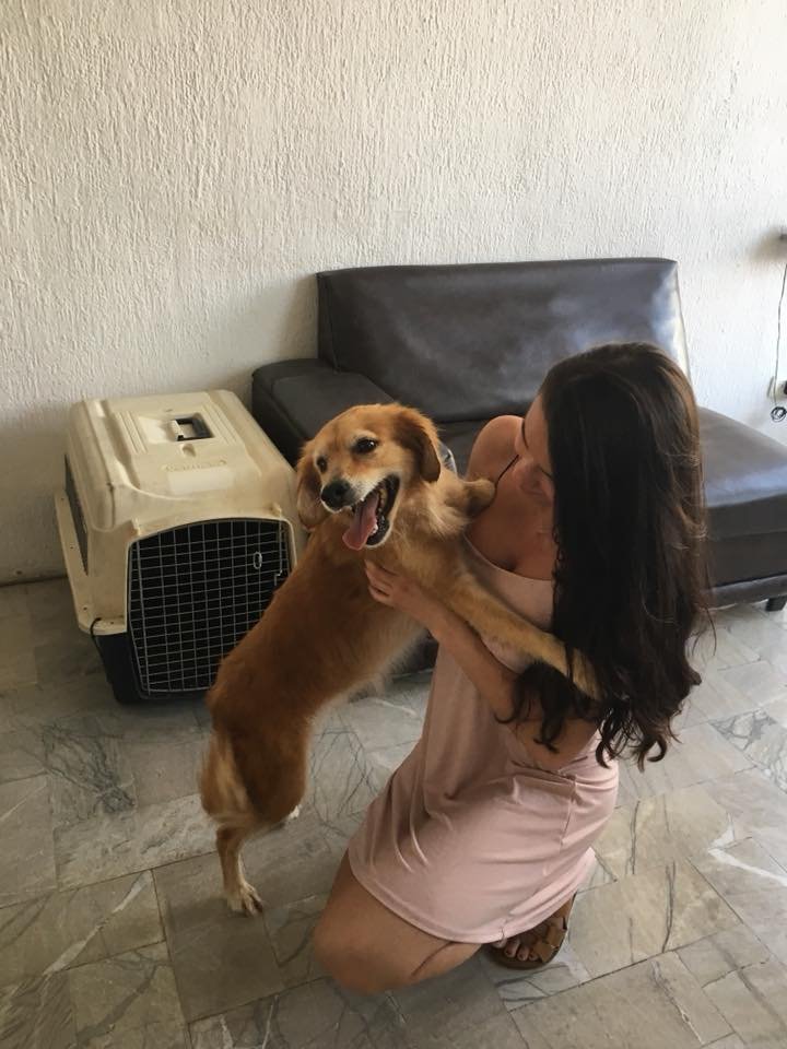 Rosie feliz Rosie feliz