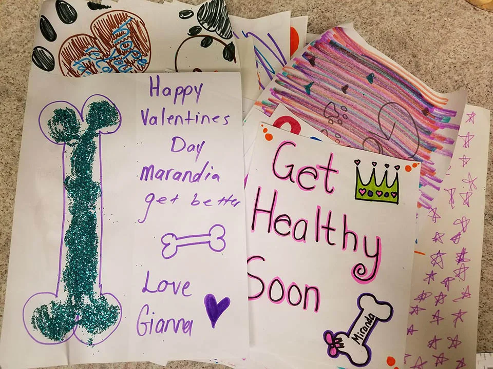 Tarjetas para Miranda