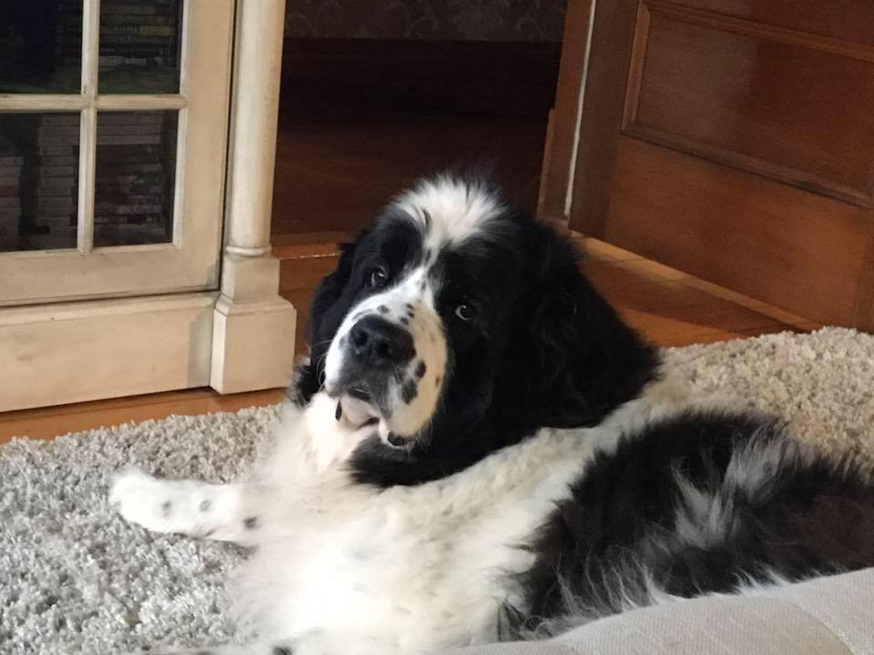 Bella Bella