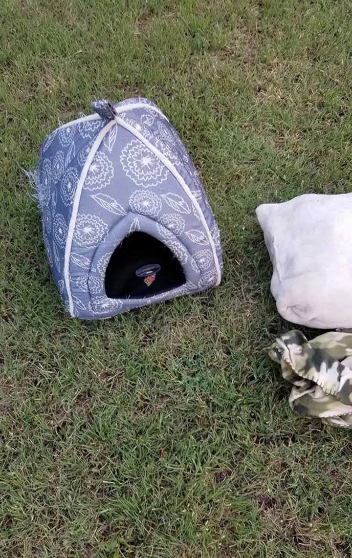 Casita Casita